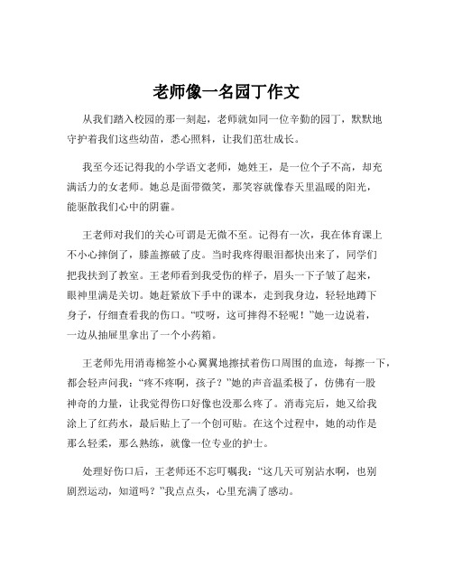 老师像一名园丁作文