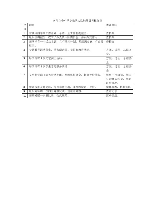 少先队大队辅导员考核细则