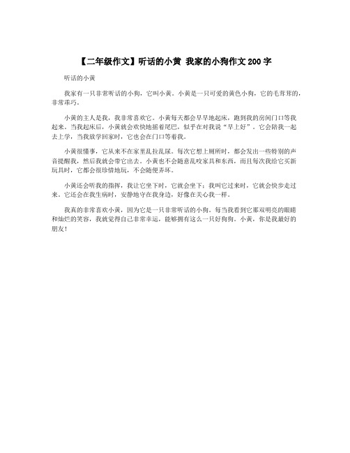 【二年级作文】听话的小黄 我家的小狗作文200字