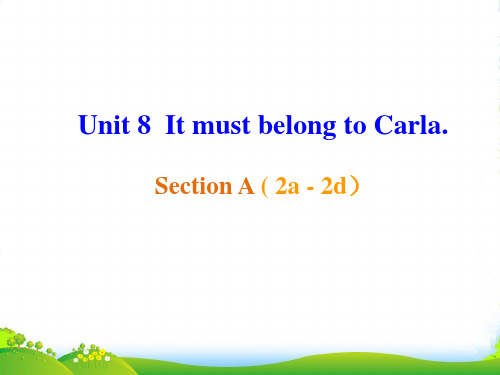 人教英语九年级全一册Unit8 Section A 2a—2d (26张)-课件