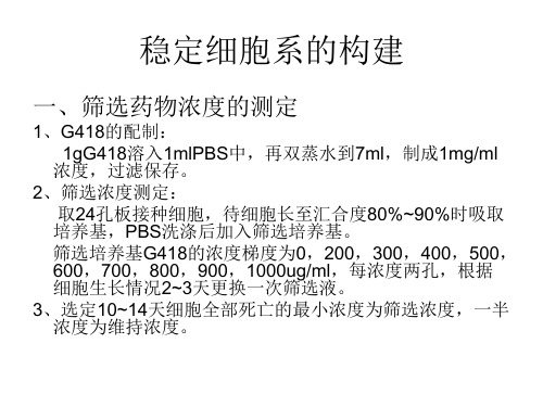 稳定细胞系的构建