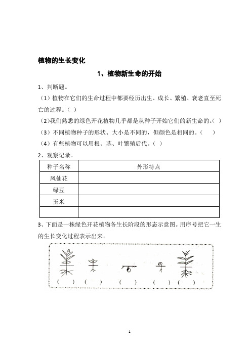 三年级科学下册作业本