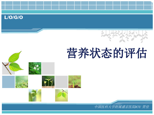 营养状态的评估