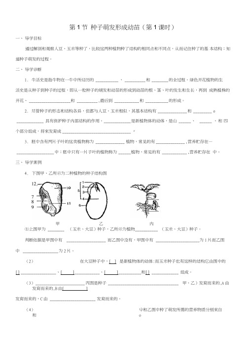 七年级生物上册3.6.1种子萌发形成幼苗学案北师大版.doc