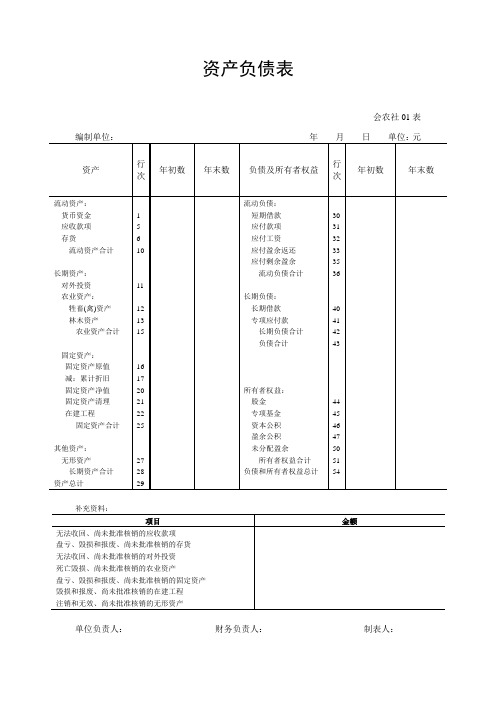 农民专业合作社专业财务报表