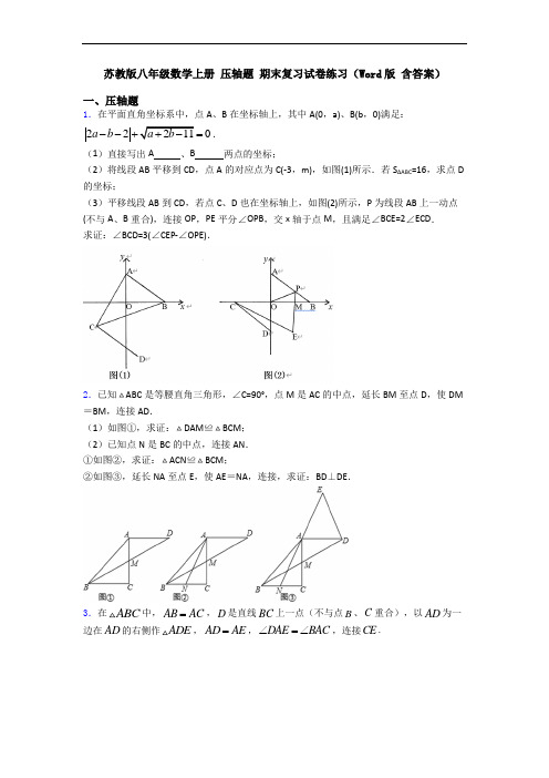 苏教版八年级数学上册 压轴题 期末复习试卷练习(Word版 含答案)