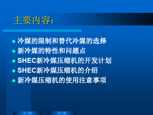 新冷媒压缩机技术讲义精品文档