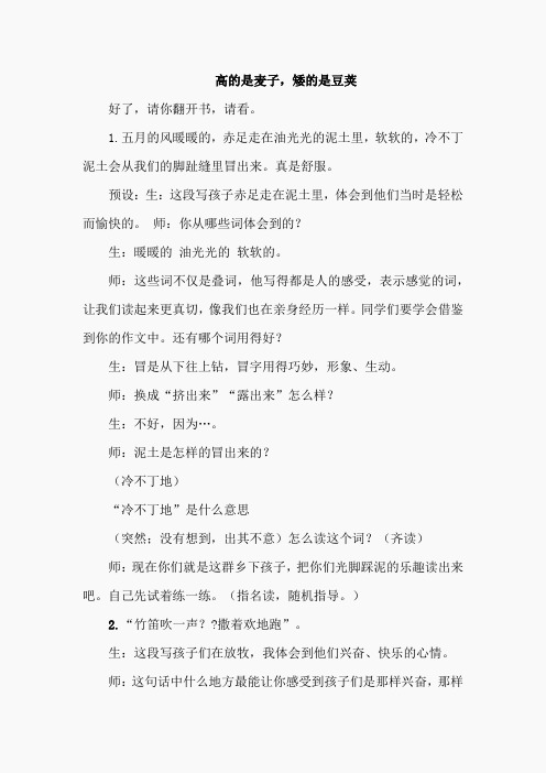 14.高的是麦子,矮的是豆荚(课堂实录)(3)