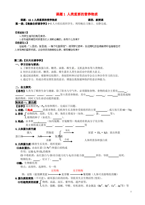 广东省河源市中英文实验学校九年级化学下册 第十二单