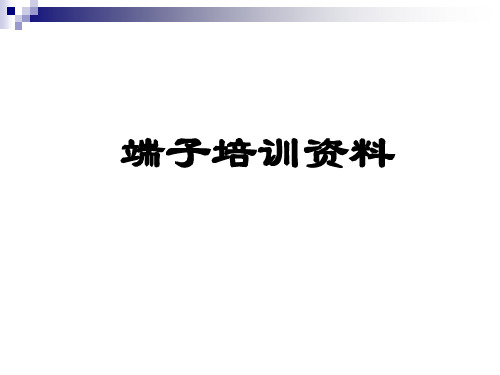 端子培训资料