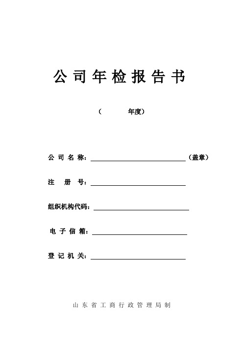 公司年检报告