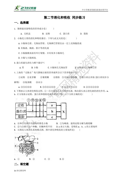 消化和吸收（含答案）