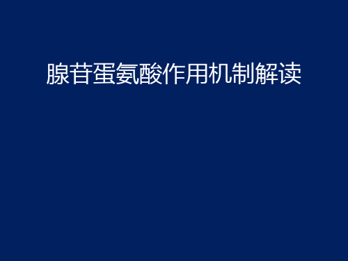 腺苷蛋氨酸作用机制解读