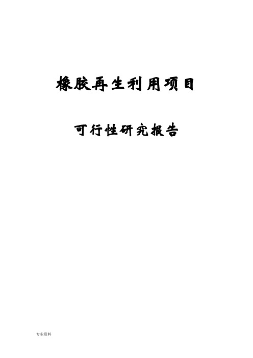 橡胶再生利用项目可行性研究报告