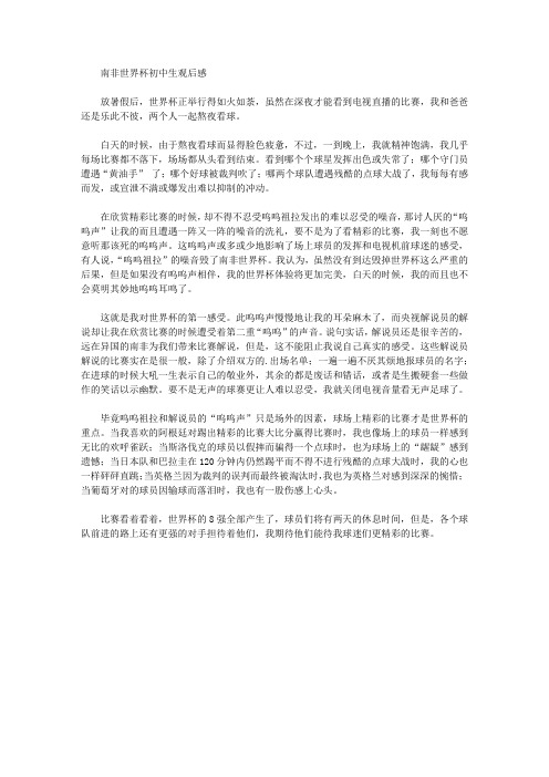 南非世界杯初中生观后感