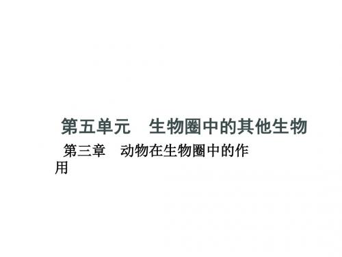 人教版八年级生物上册5.3《动物在生物圈中的作用》习题课件