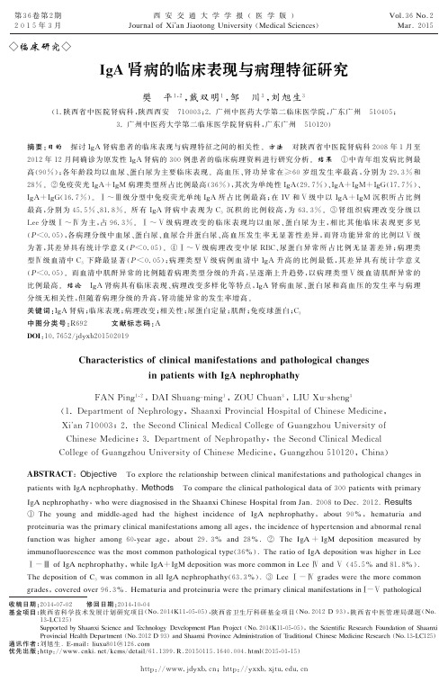 I gA肾病的临床表现与病理特征研究