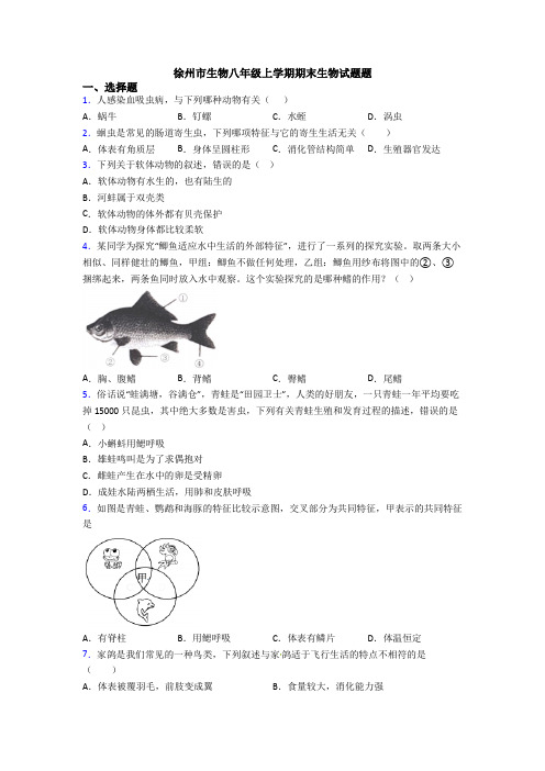 徐州市生物八年级上学期期末生物试题题