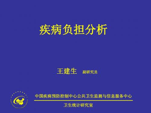 2.疾病负担分析-王建生