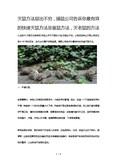 灭鼠方法层出不穷-捕鼠公司告诉你最有效的快速灭鼠方法及驱鼠方法-灭老鼠的方法