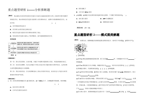 高考生物重点题型考能专项突破样本