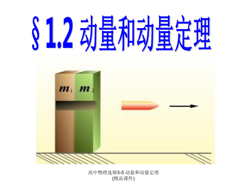 高中物理选修3-5 动量和动量定理(精品课件)