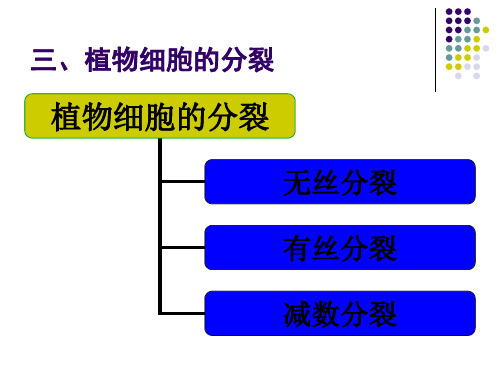 植物的细胞