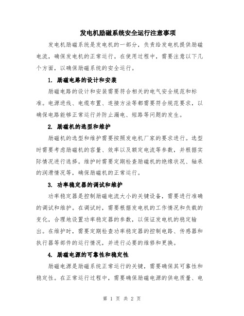 发电机励磁系统安全运行注意事项