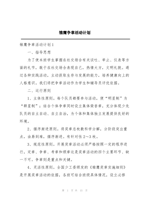 雏鹰争章活动计划