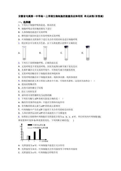 安徽省屯溪第一中学高一上学期生物细胞的能量供应和利用 单元试卷(有答案)