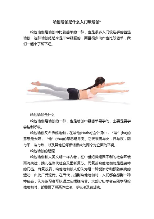 哈他瑜伽是什么入门级瑜伽