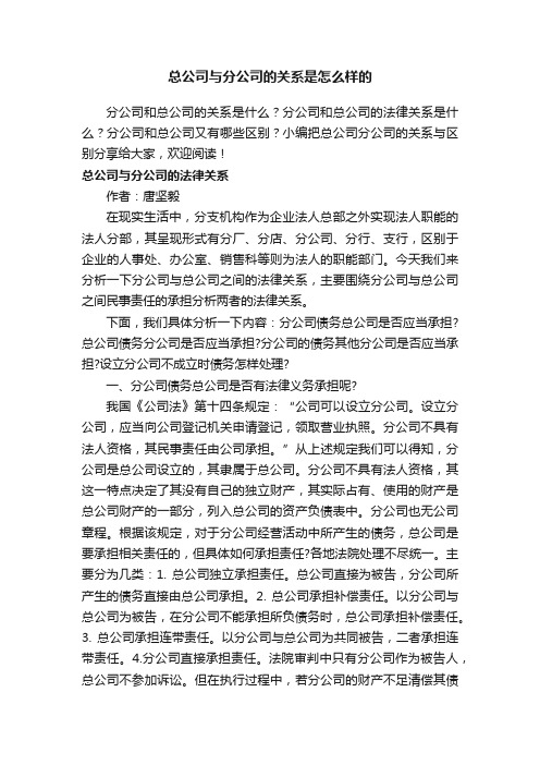 总公司与分公司的关系是怎么样的