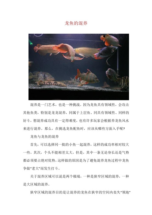 龙鱼的混养