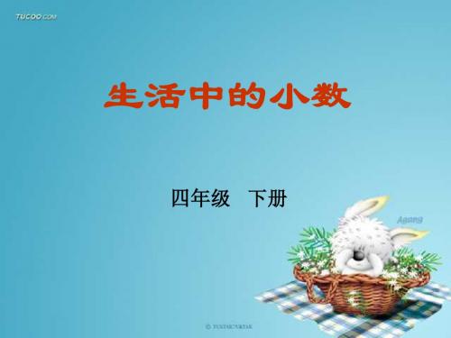 四年级数学生活中的小数