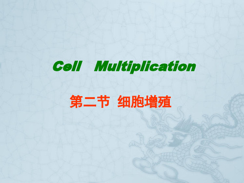 高考生物总复习 细胞增殖 ppt