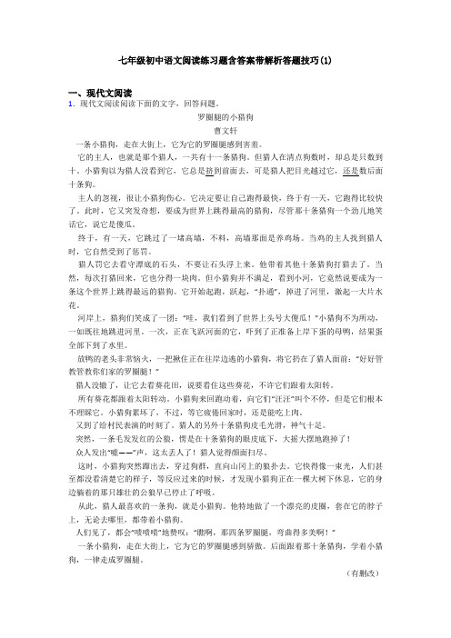 七年级初中语文阅读练习题含答案带解析答题技巧(1)