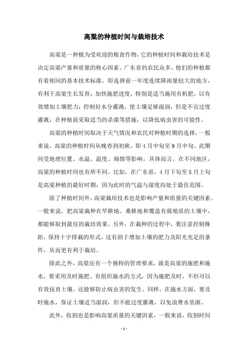高粱的种植时间与栽培技术