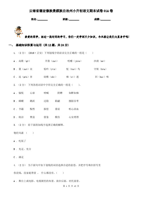 云南省德宏傣族景颇族自治州小升初语文期末试卷01A卷