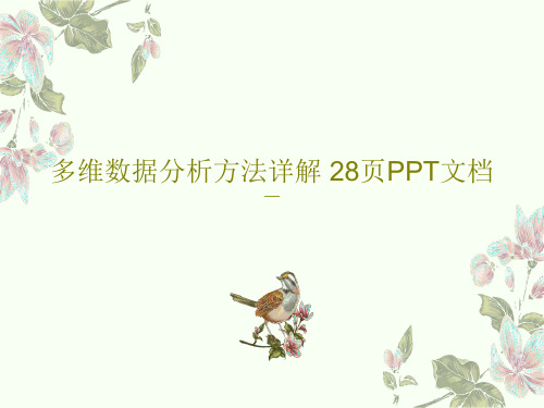 多维数据分析方法详解 28页PPT文档30页PPT