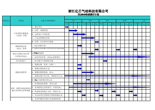 TS推行计划表