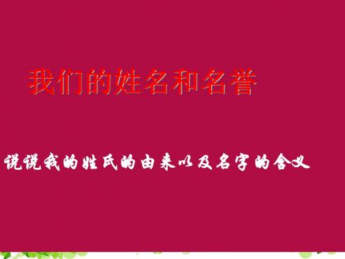 我们的姓名和名誉 PPT优秀课件 苏教版