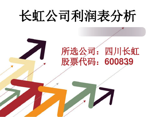 四川长虹利润表分析