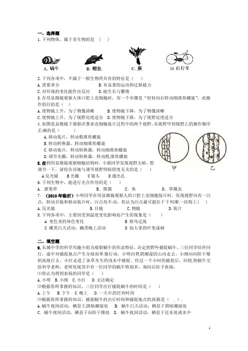 广东省深圳市福田云顶学校中考生物复习课外作业 第一讲 观察多种多样的生物(无答案)