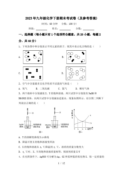 2023年九年级化学下册期末考试卷(及参考答案)