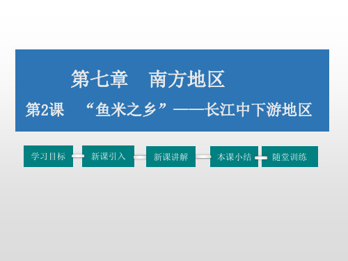 八年级地理下册7.2 “鱼米之乡”——长江三角洲地区