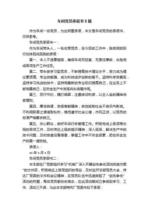 车间党员承诺书3篇