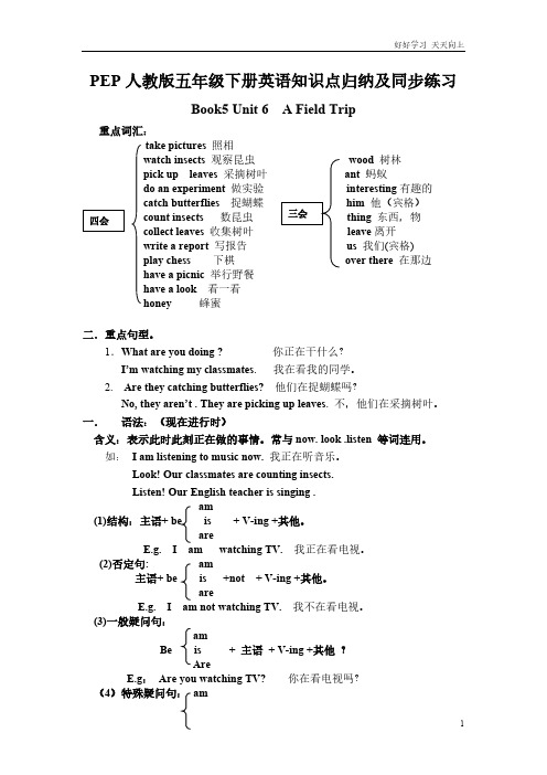 人教PEP版五年级下册英语Unit6知识点归纳及同步练习