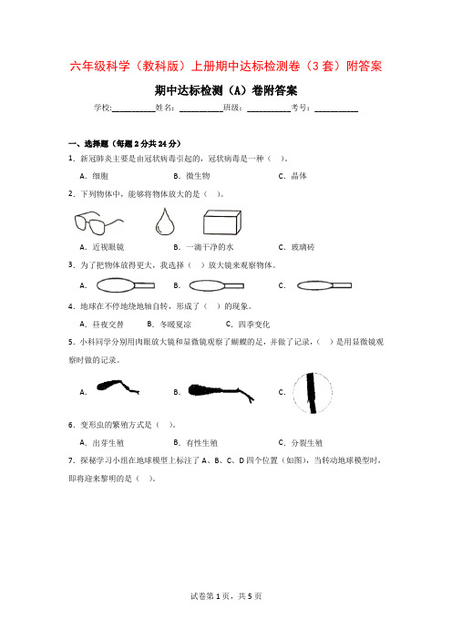 六年级科学教科版上册期中达标检测卷3套附答案