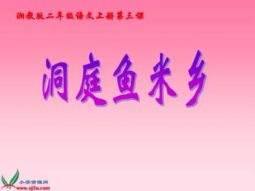 03第三课 洞庭鱼米乡自制