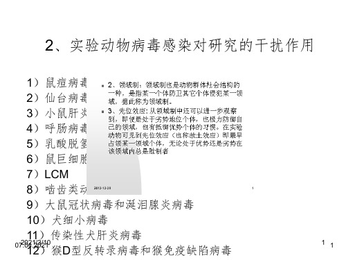 动物实验中的生物危害课件PPT